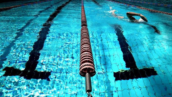 Swim Lessons - Single Sessions